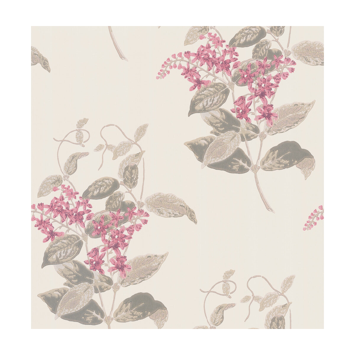 Madras Violet-Pink