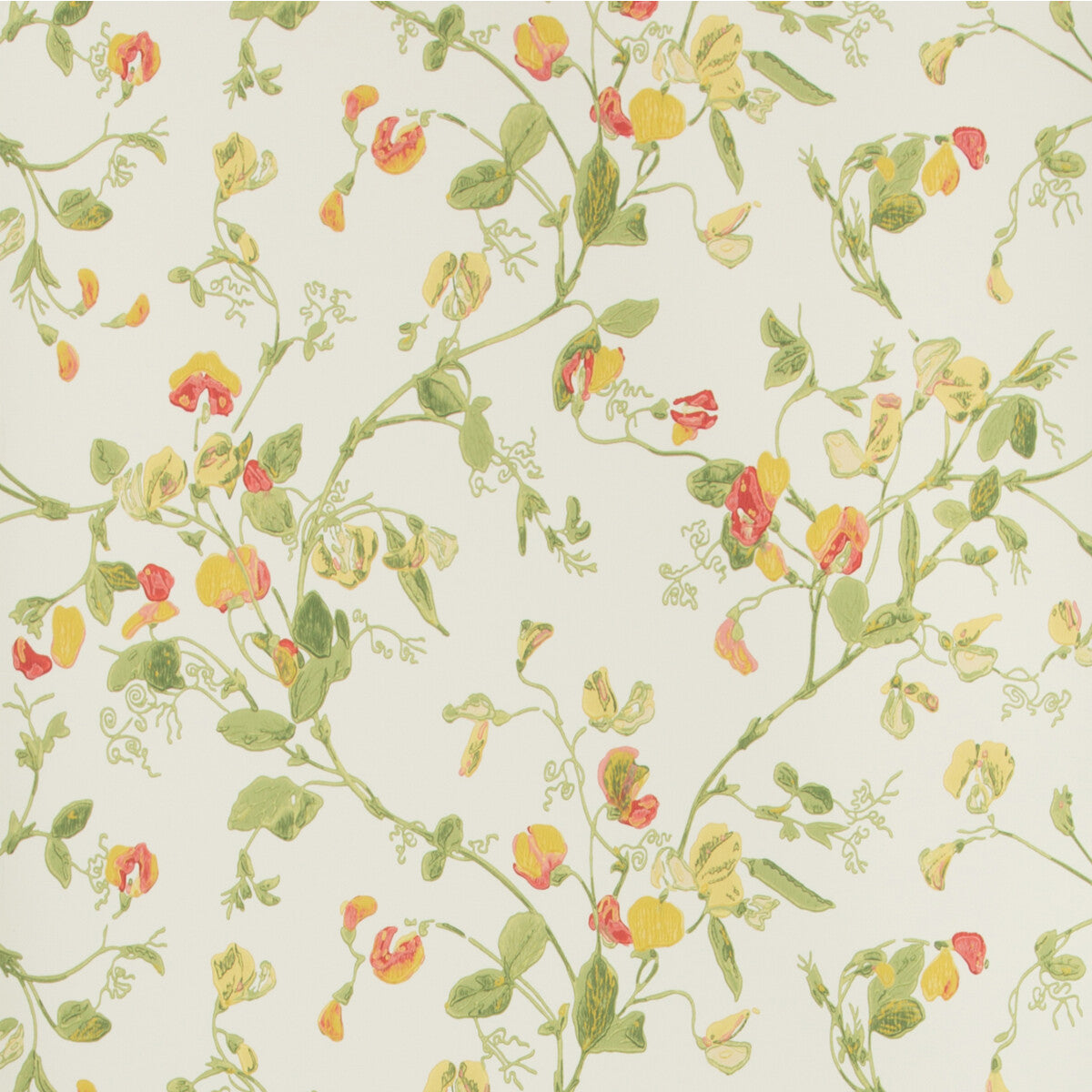 Sweet Pea-Pink & Yellow