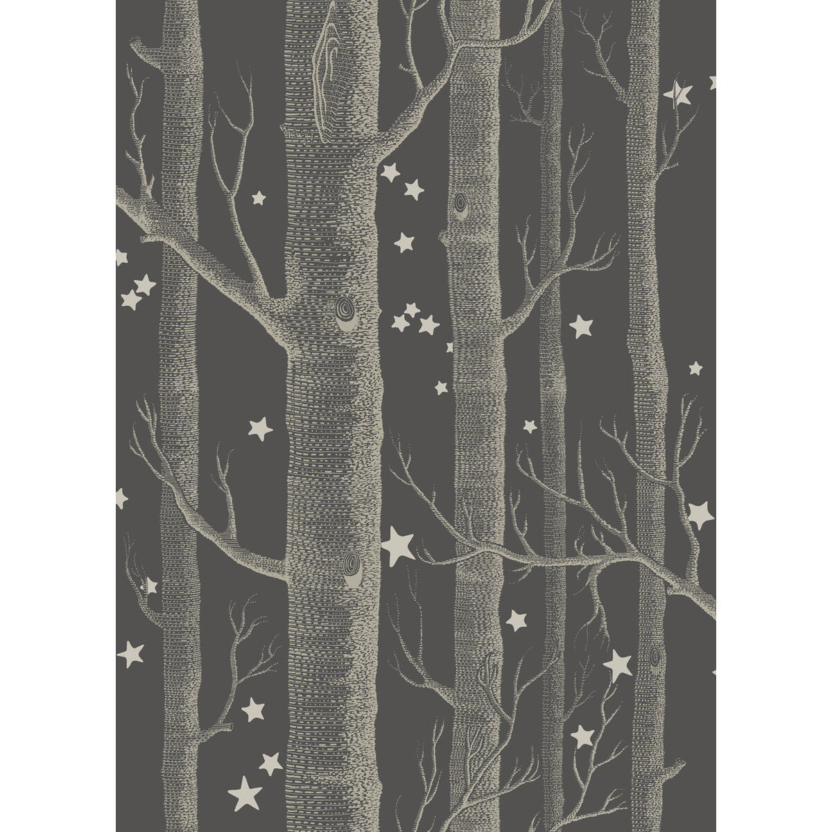 Woods & Stars-Charcoal