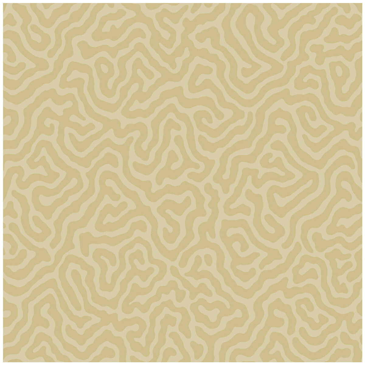 Coral-Buff