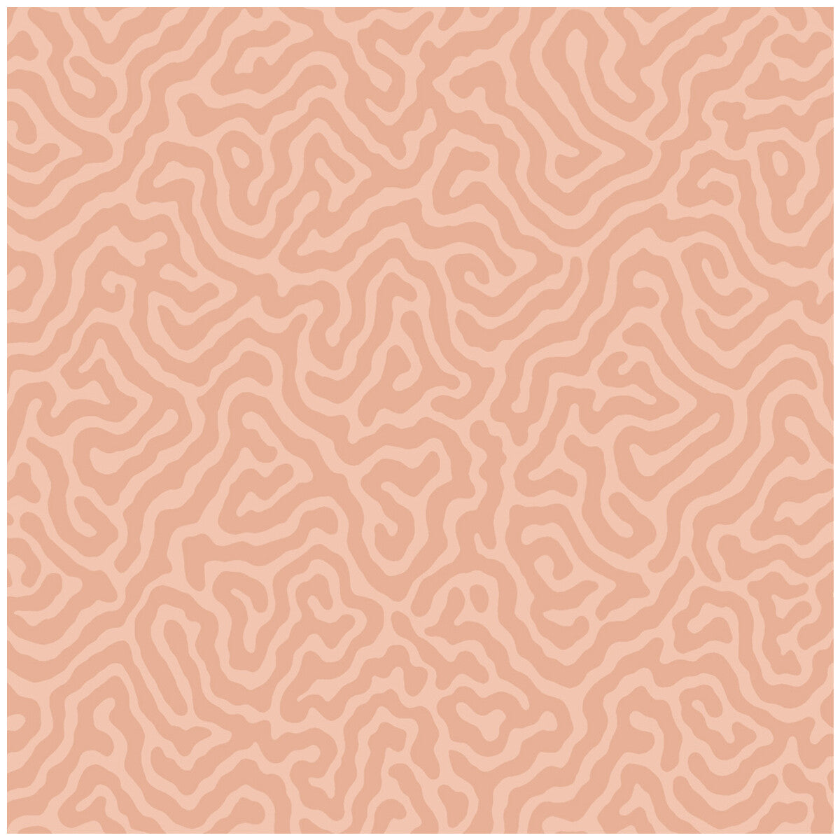 Coral-Salmon