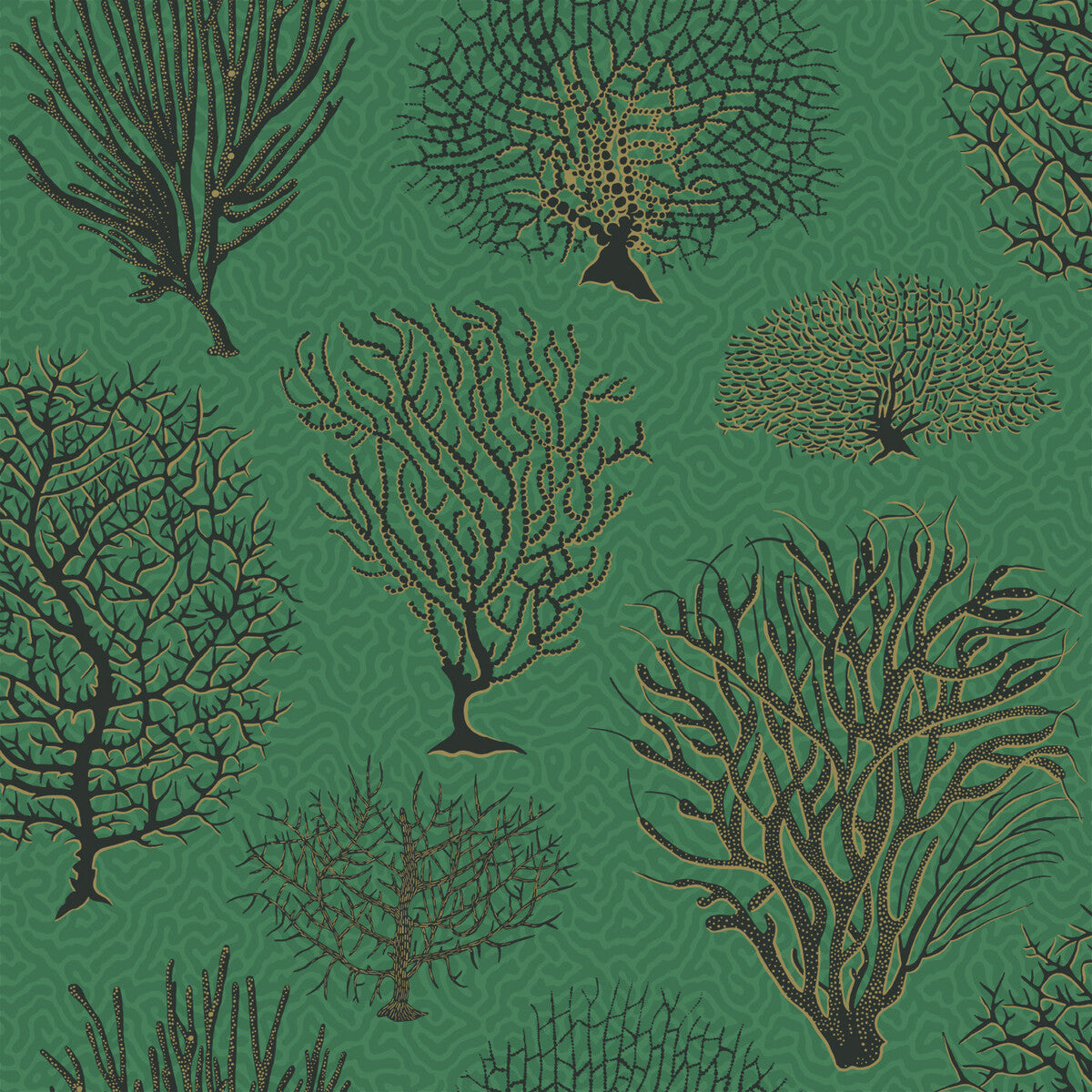 Seafern-Emerald