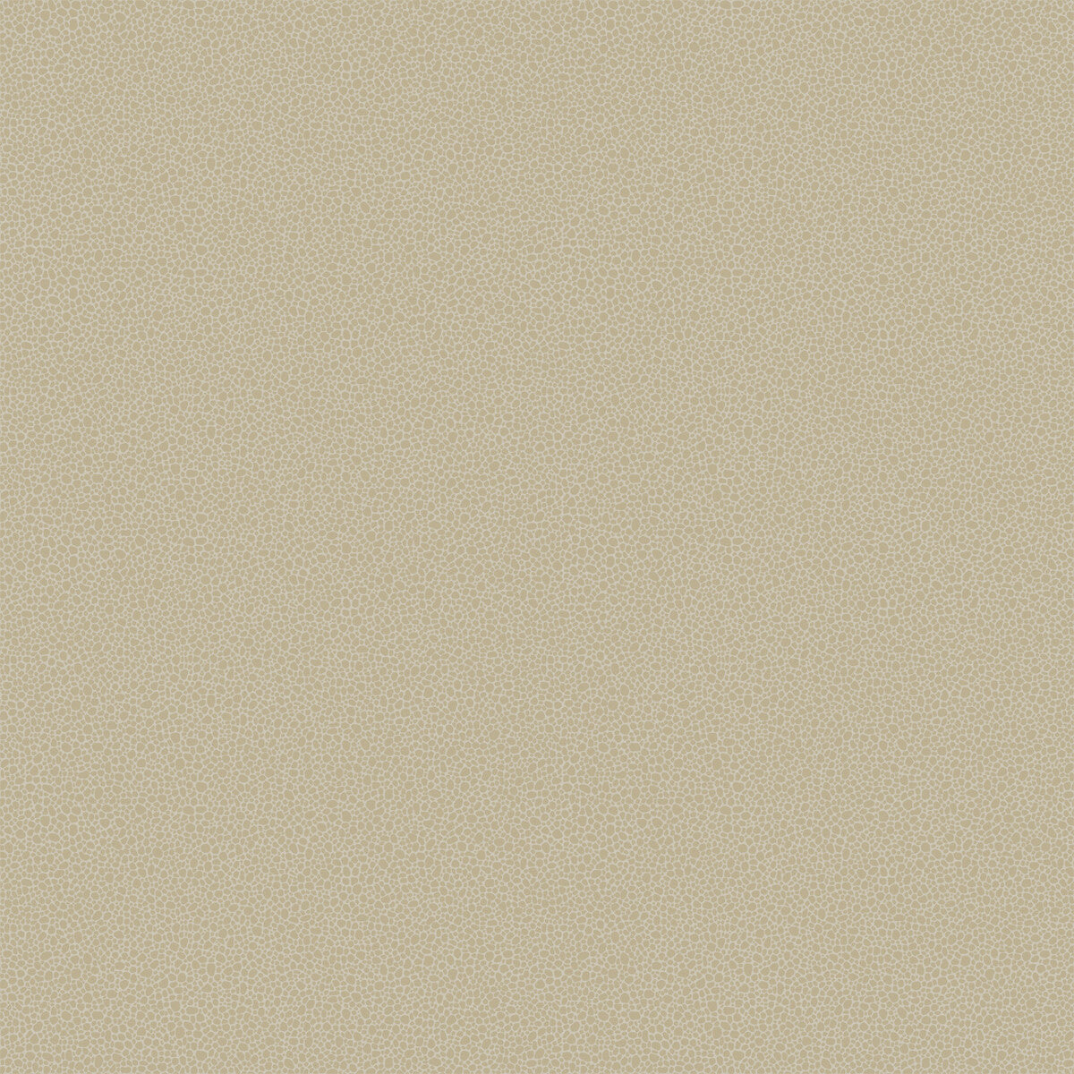 Goldstone-Stone & Gilver