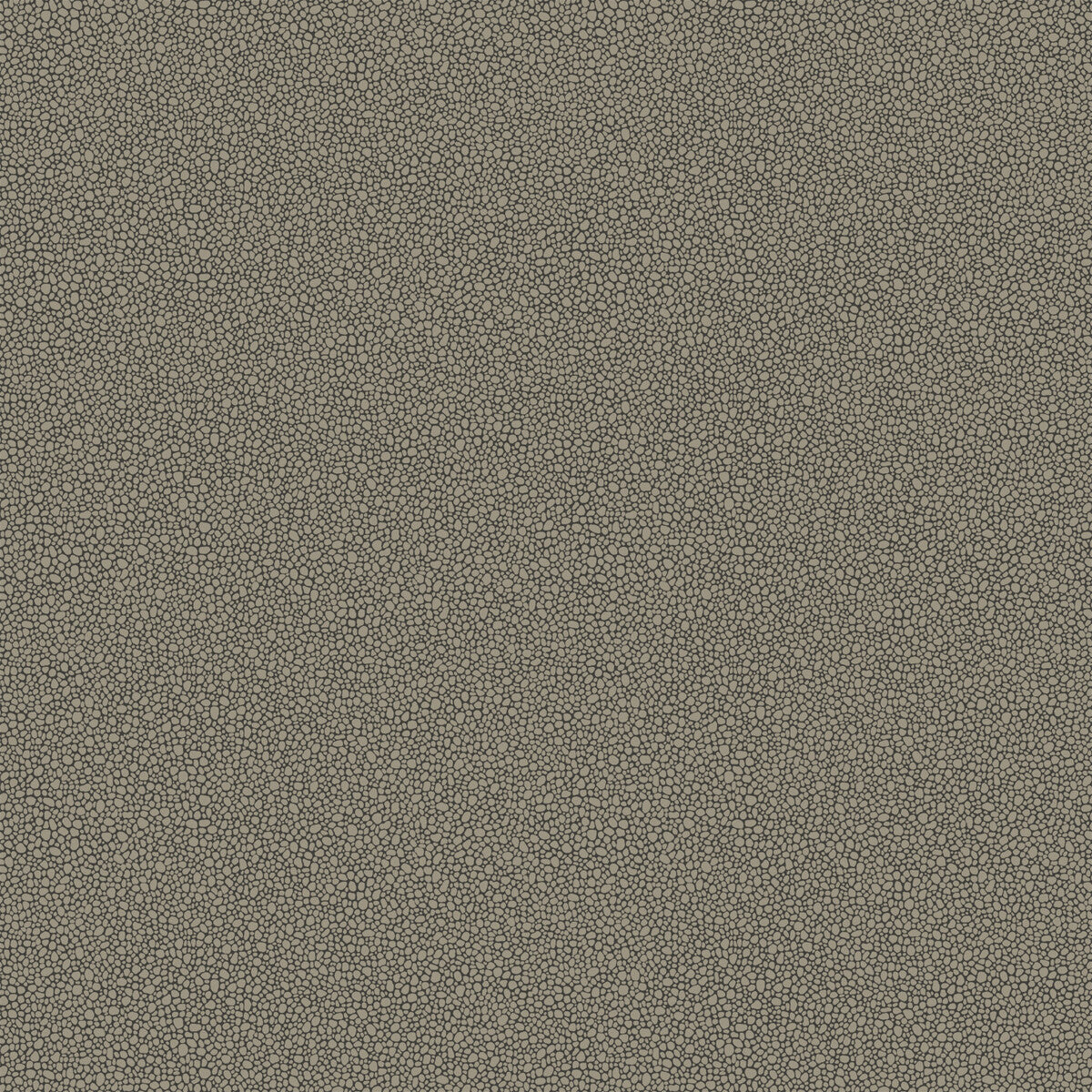 Goldstone-Black & Silver