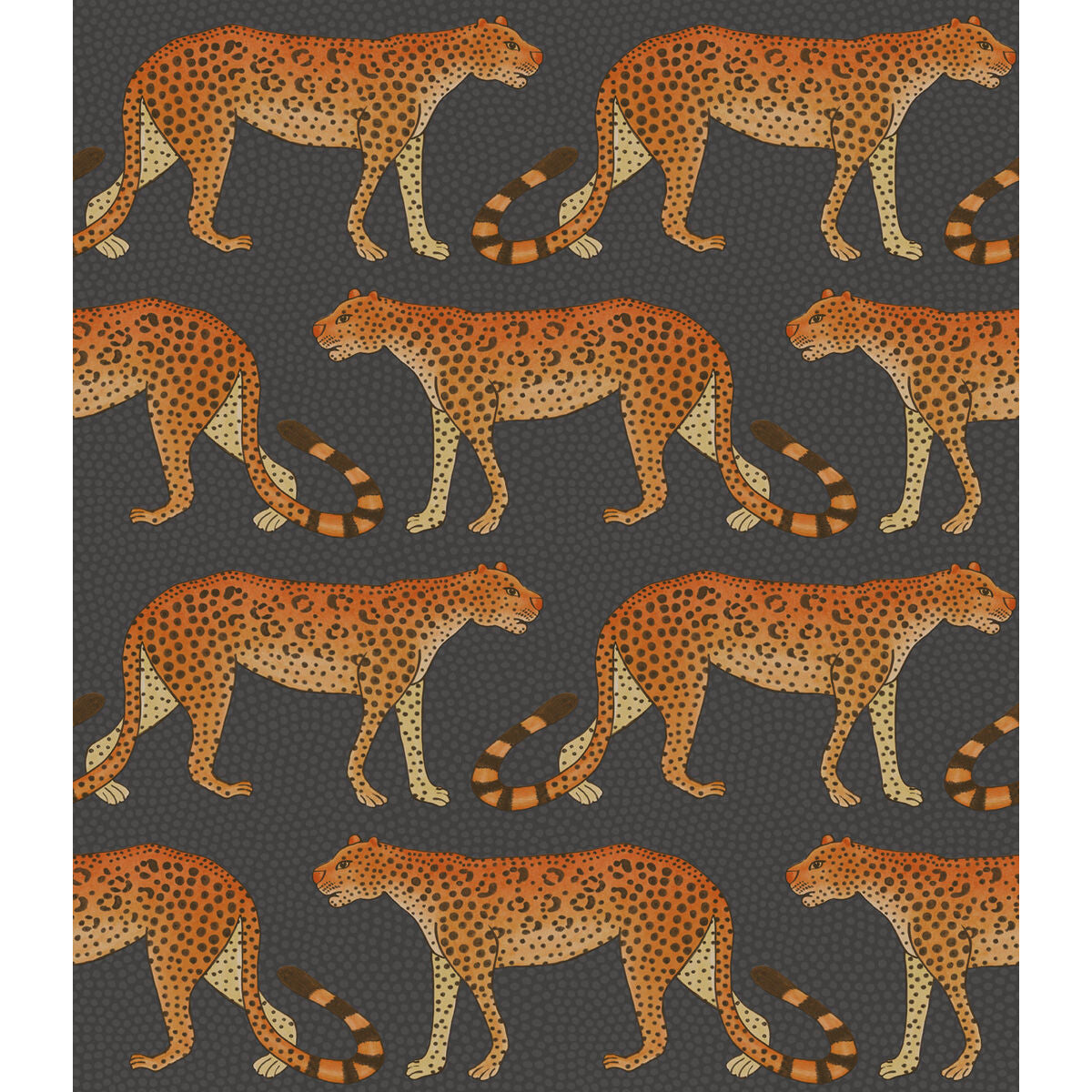 Leopard Walk-Charcoal & Orange