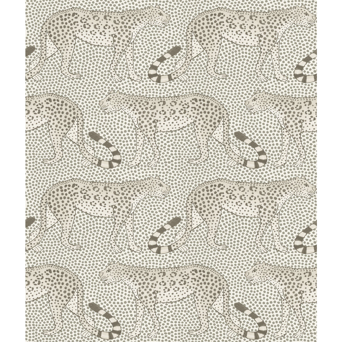 Leopard Walk-Black & White