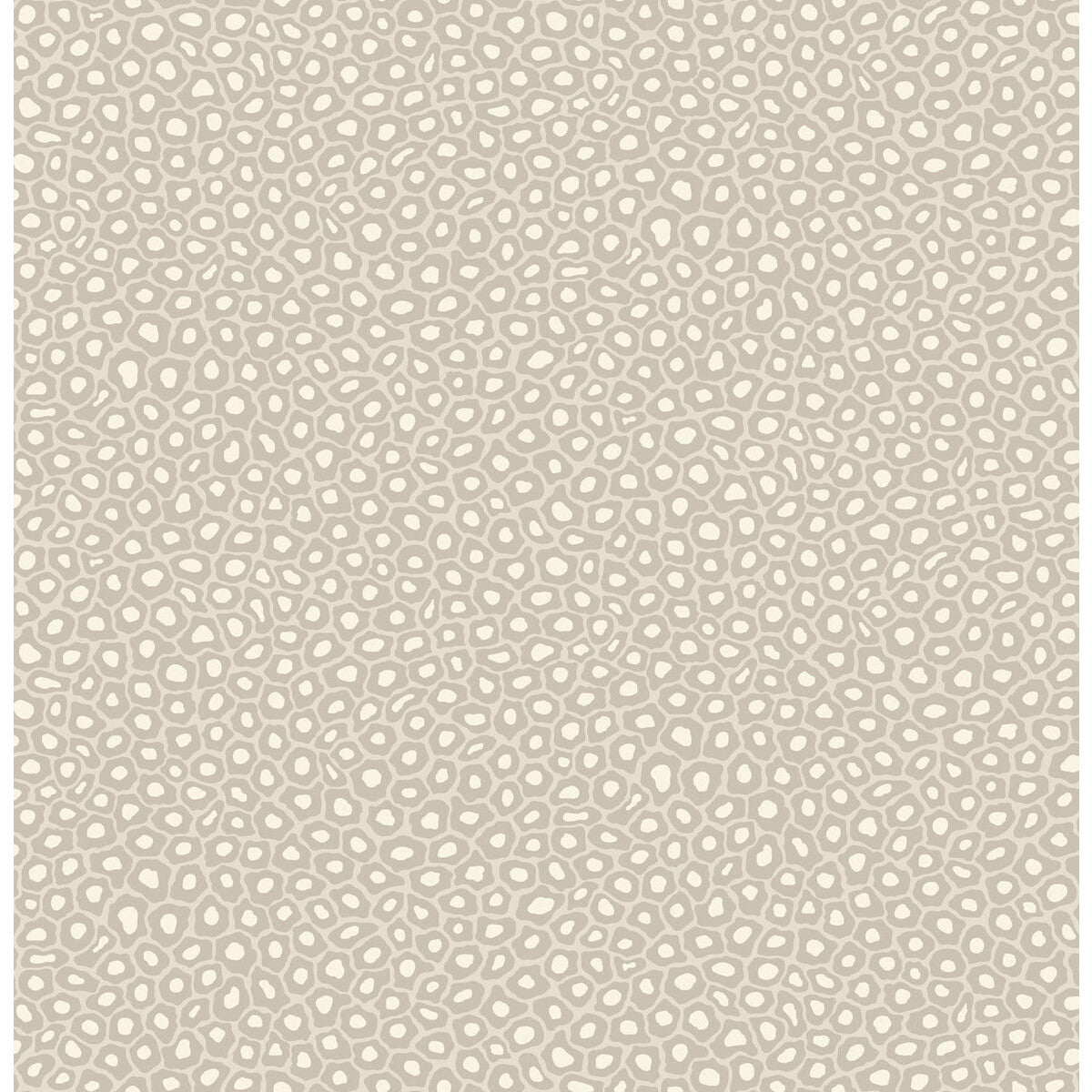 Senzo Spot-Stone & White
