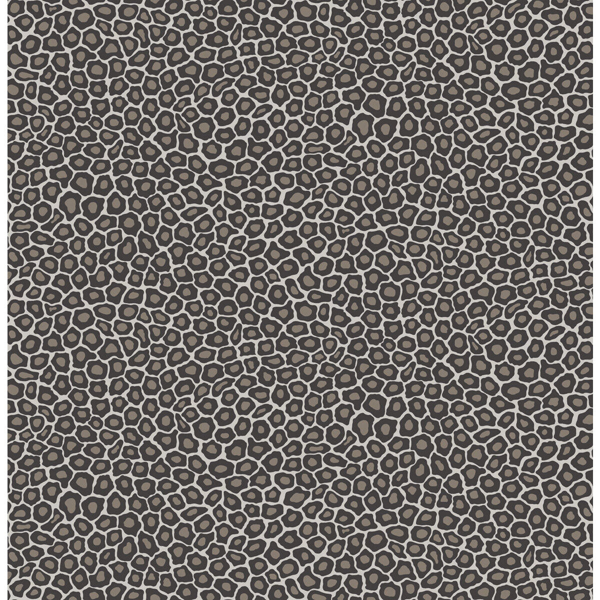 Senzo Spot-Black & White