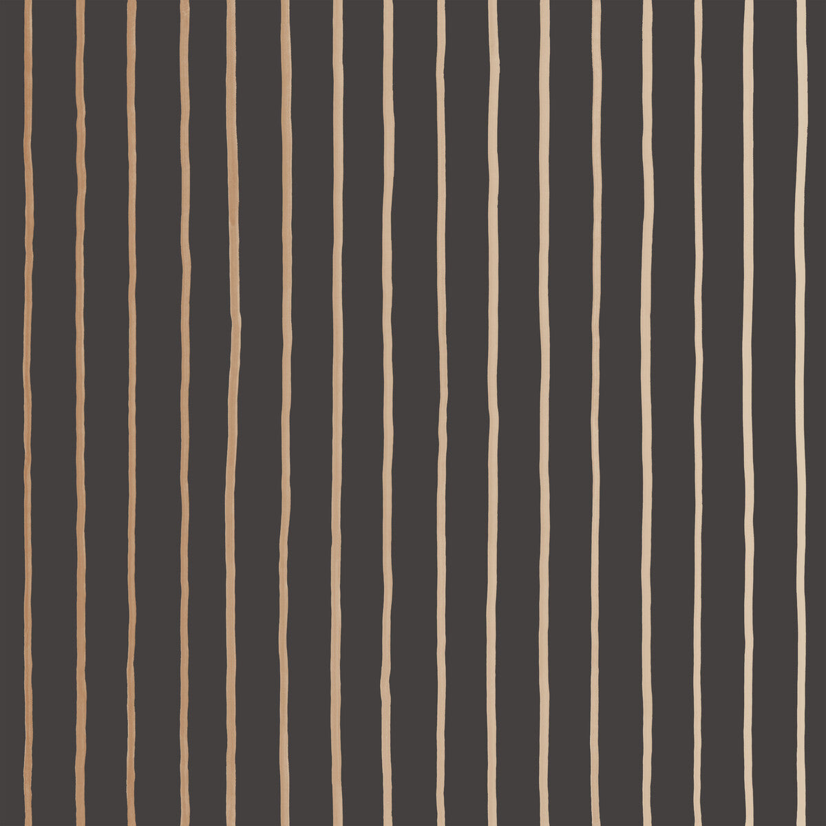 College Stripe-Charcoal+Gold