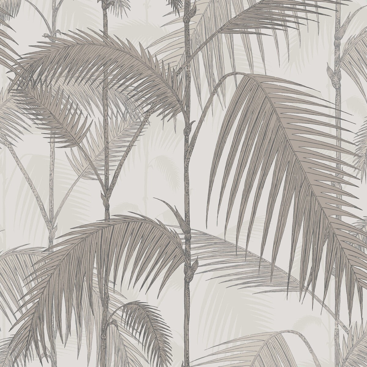 Palm Jungle-Stone/Taupe