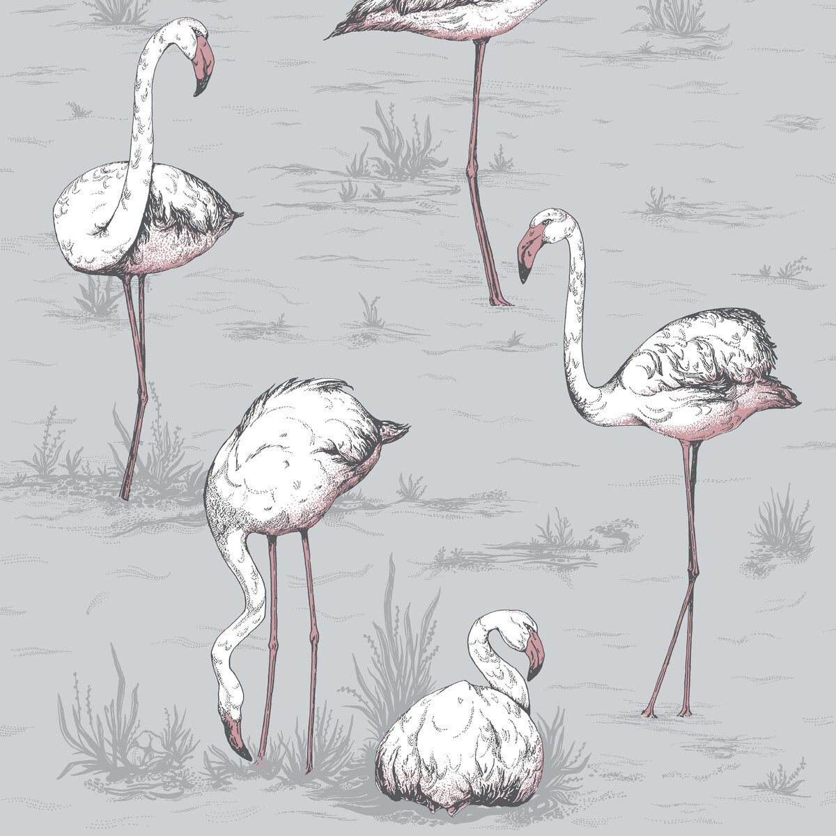 Flamingos-Grey