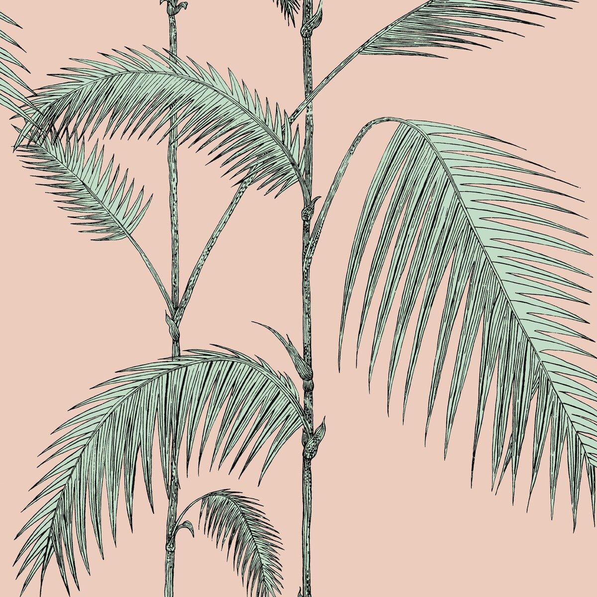 Palm Leaves-Plaster Pink/Mint