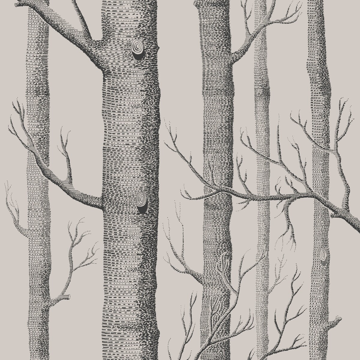 Woods-Linen/Charcoal