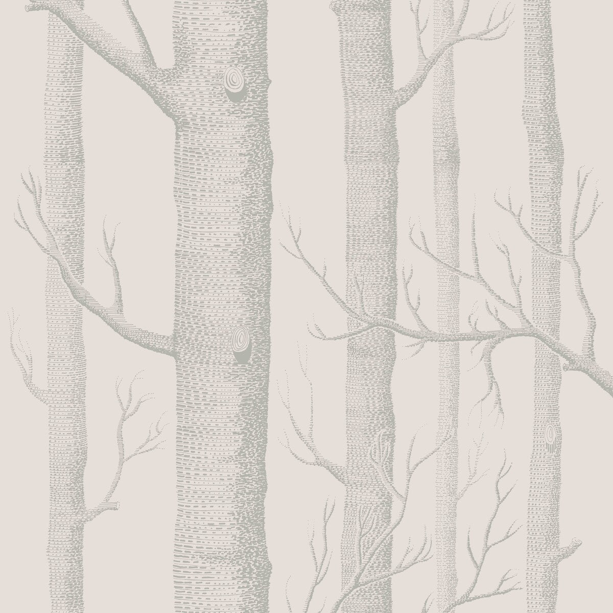 Woods-Parchment