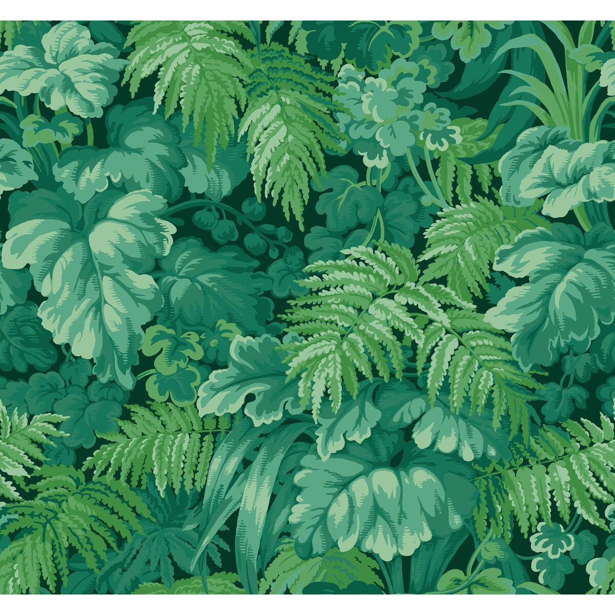 Royal Fernery-Forest Green