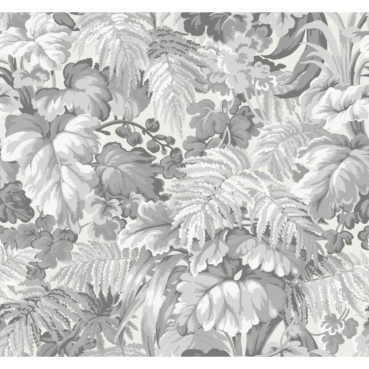 Royal Fernery-Warm Grey