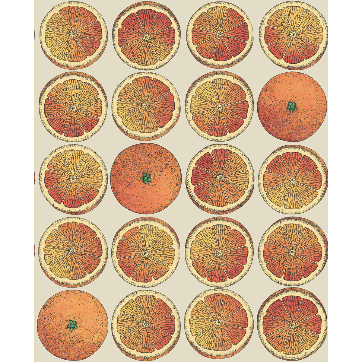 Arance-Orange/Cream