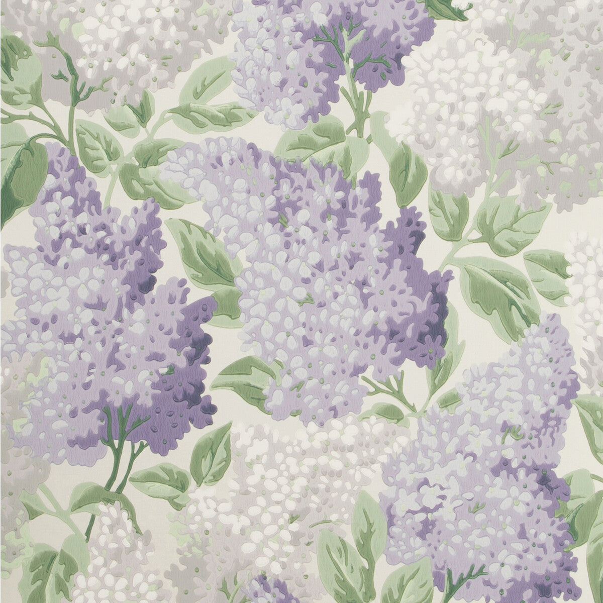 Lilac-Lilac/Dove/White