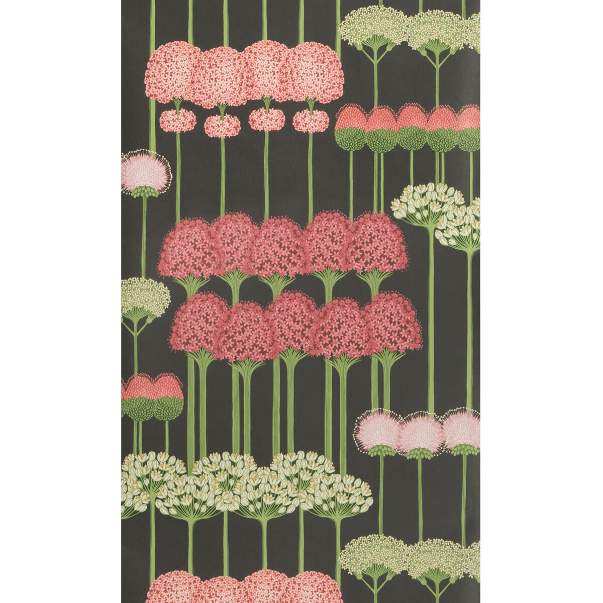 Allium-Coral/L Green/Char