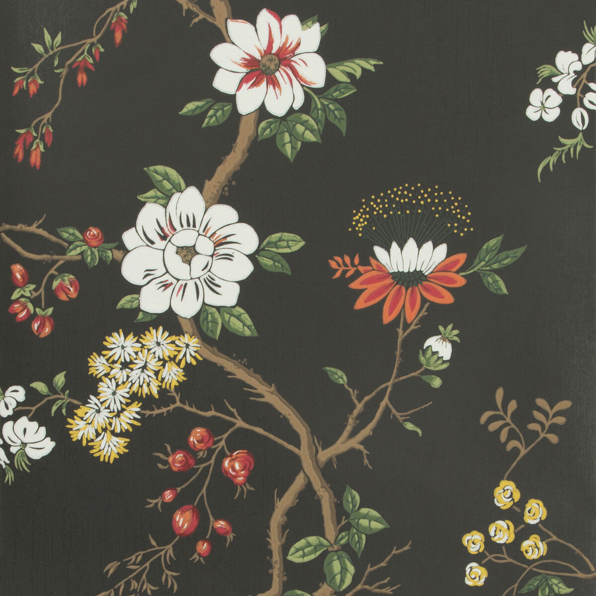 Camellia-White/Red/Charco