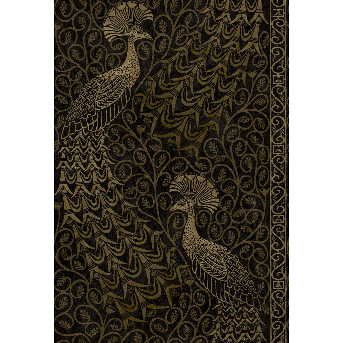 Pavo Parade-M Gold/Soot