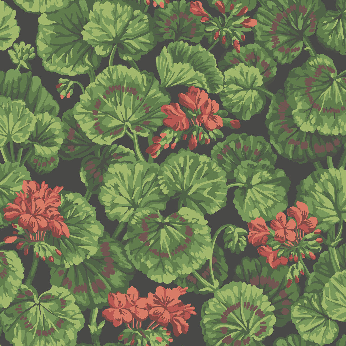 Geranium-Rouge & Leaf Greens On Black
