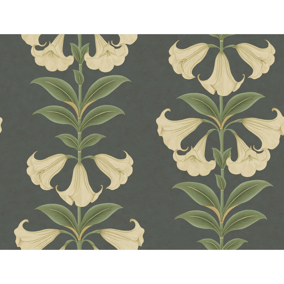 Angels Trumpet-Cream/Olive Green/Charcoal
