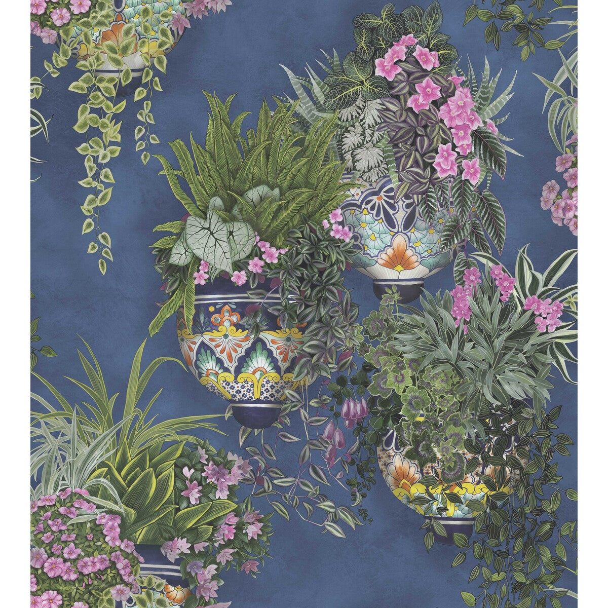 Talavera Wp-Fuchsia/Forest Green/Cerulean Sky
