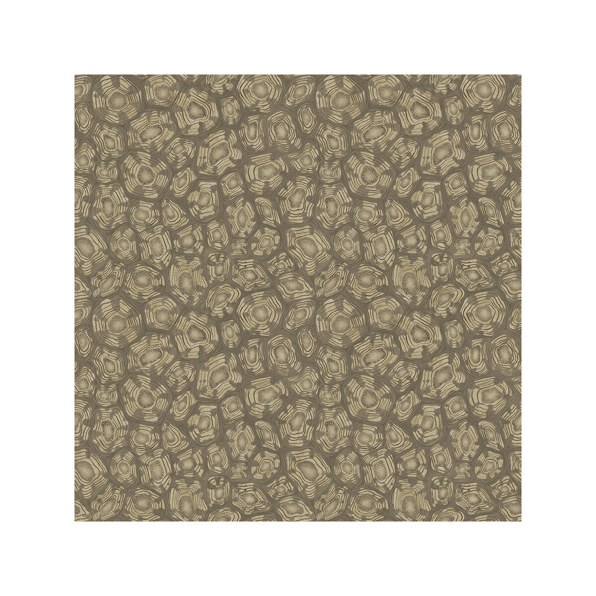 Savanna Shell-Gilver