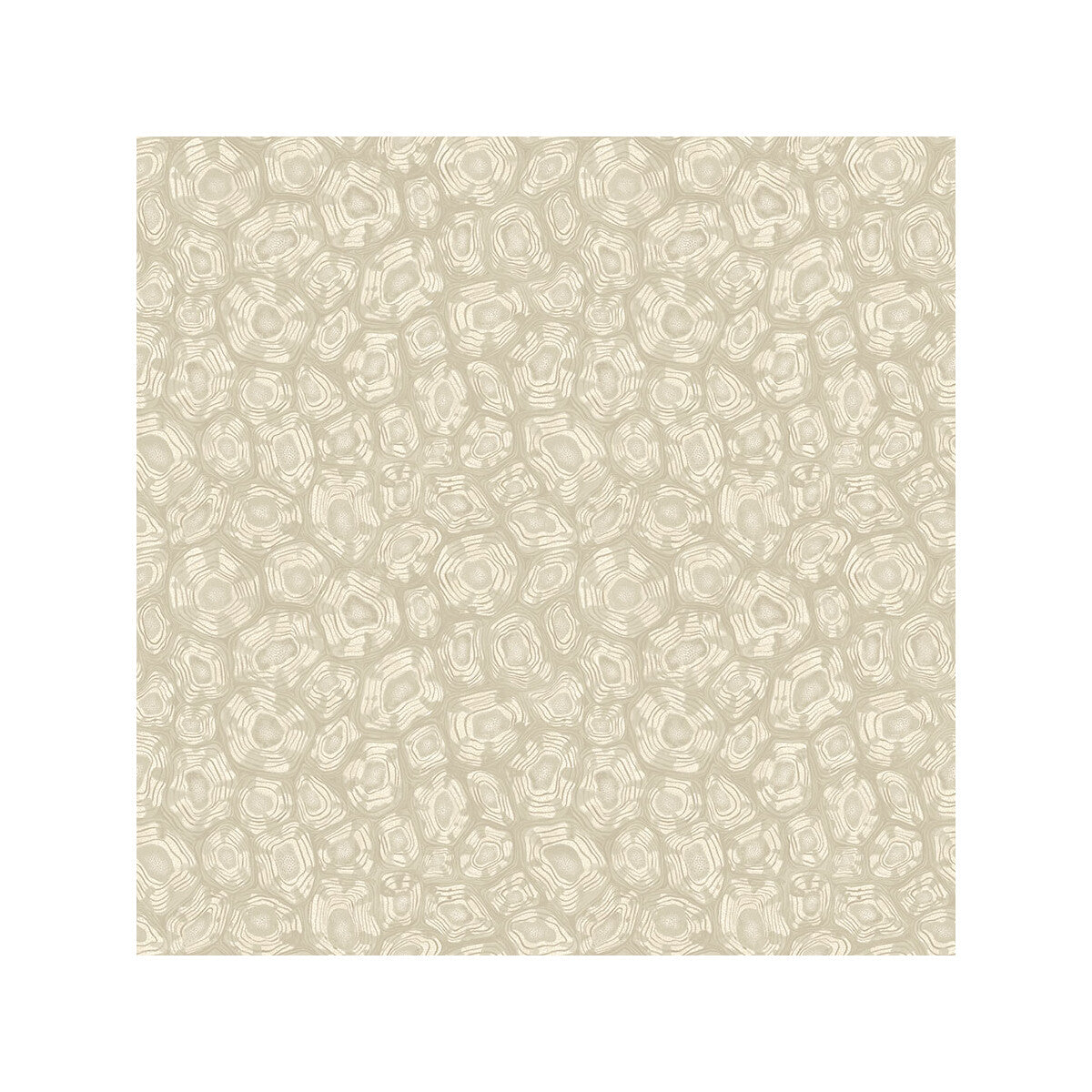 Savanna Shell-Parchment