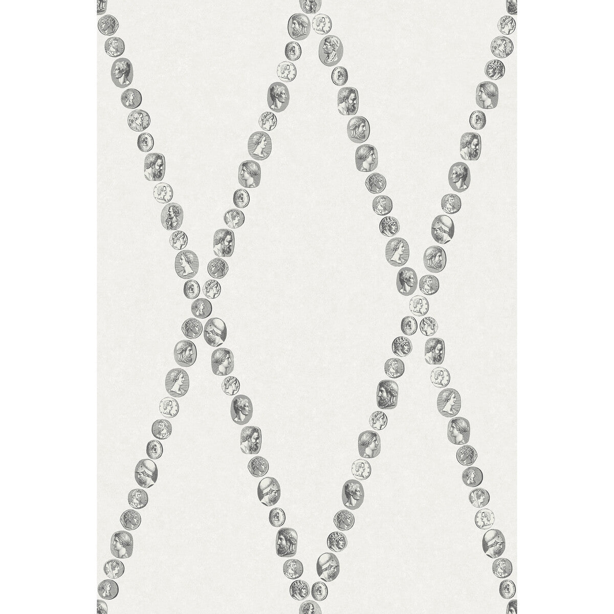 Cammei-Black & White