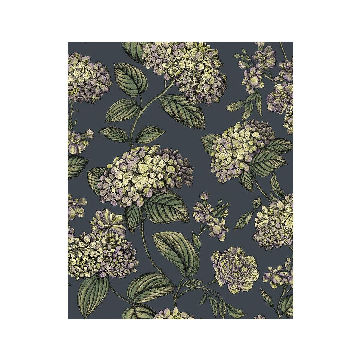 Ramo Di Ortensia-Ink