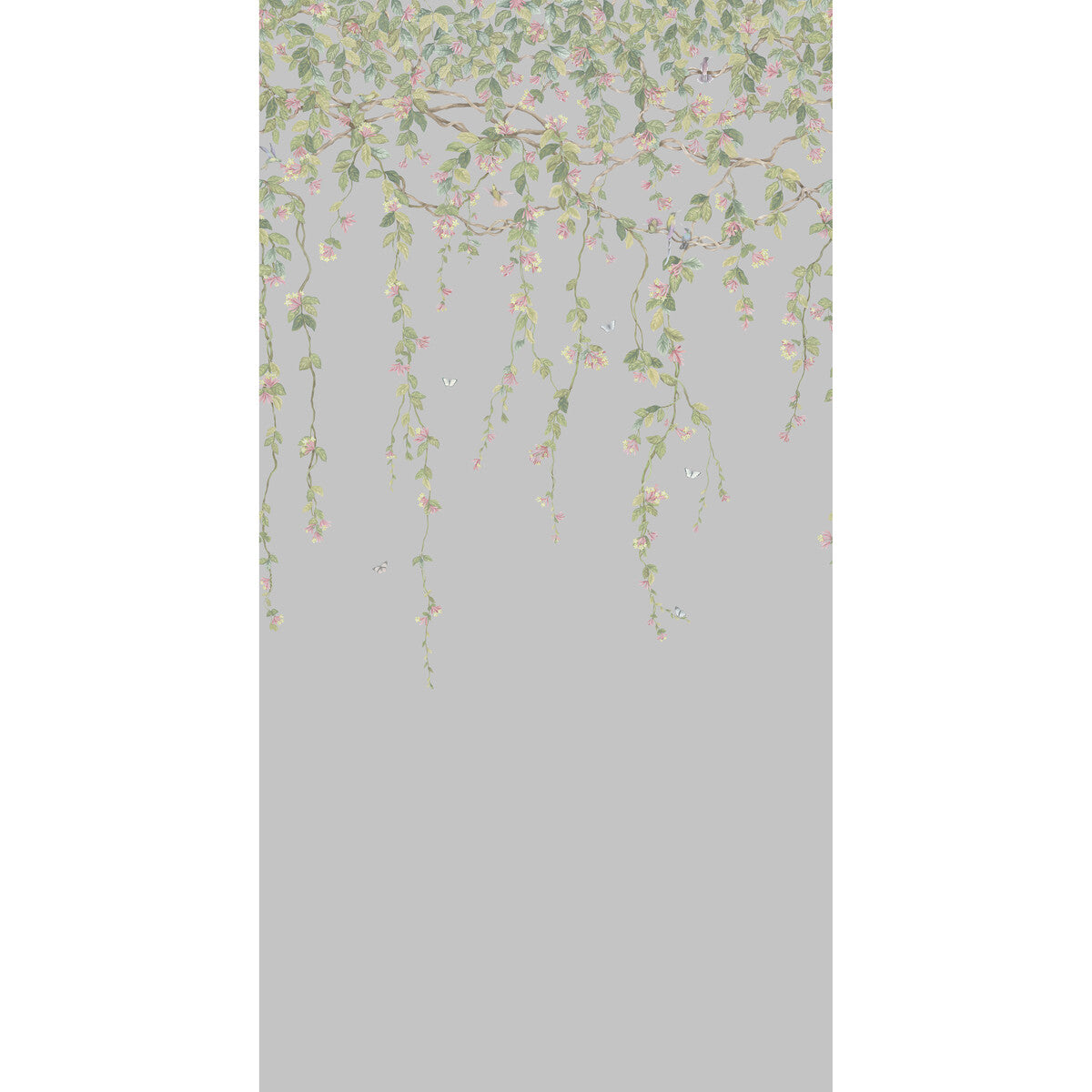 Hummingbirds Flora-Lilac