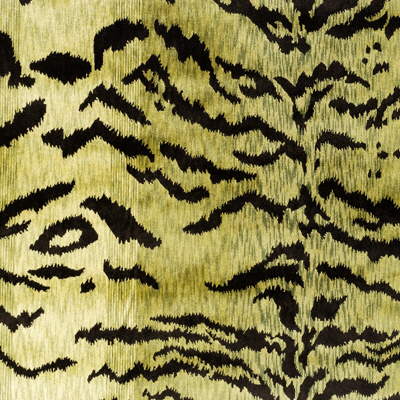 Tiger Velvet-Moss