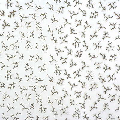 Oceana Sheer-Driftwood