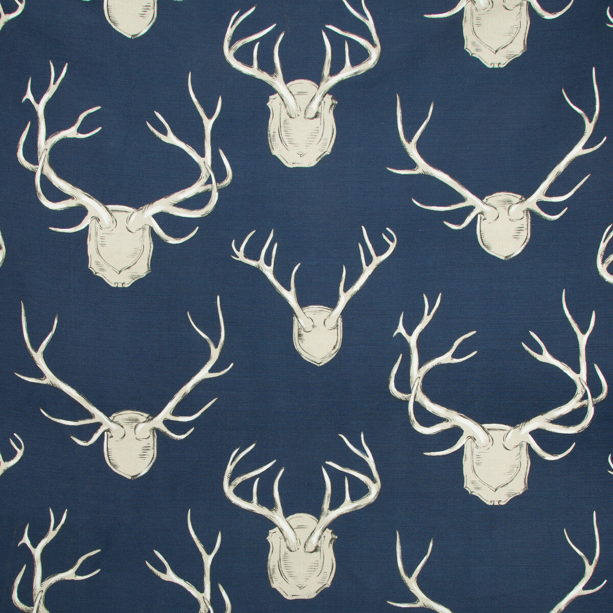 Antlers-Navy