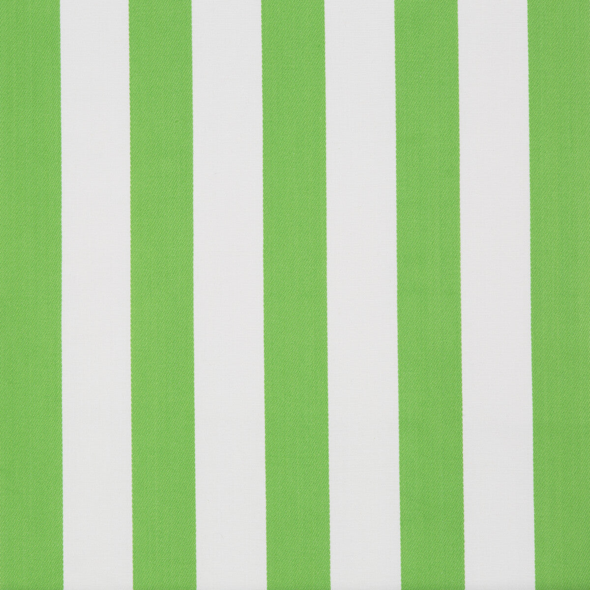 Surf Stripe-Palm Green