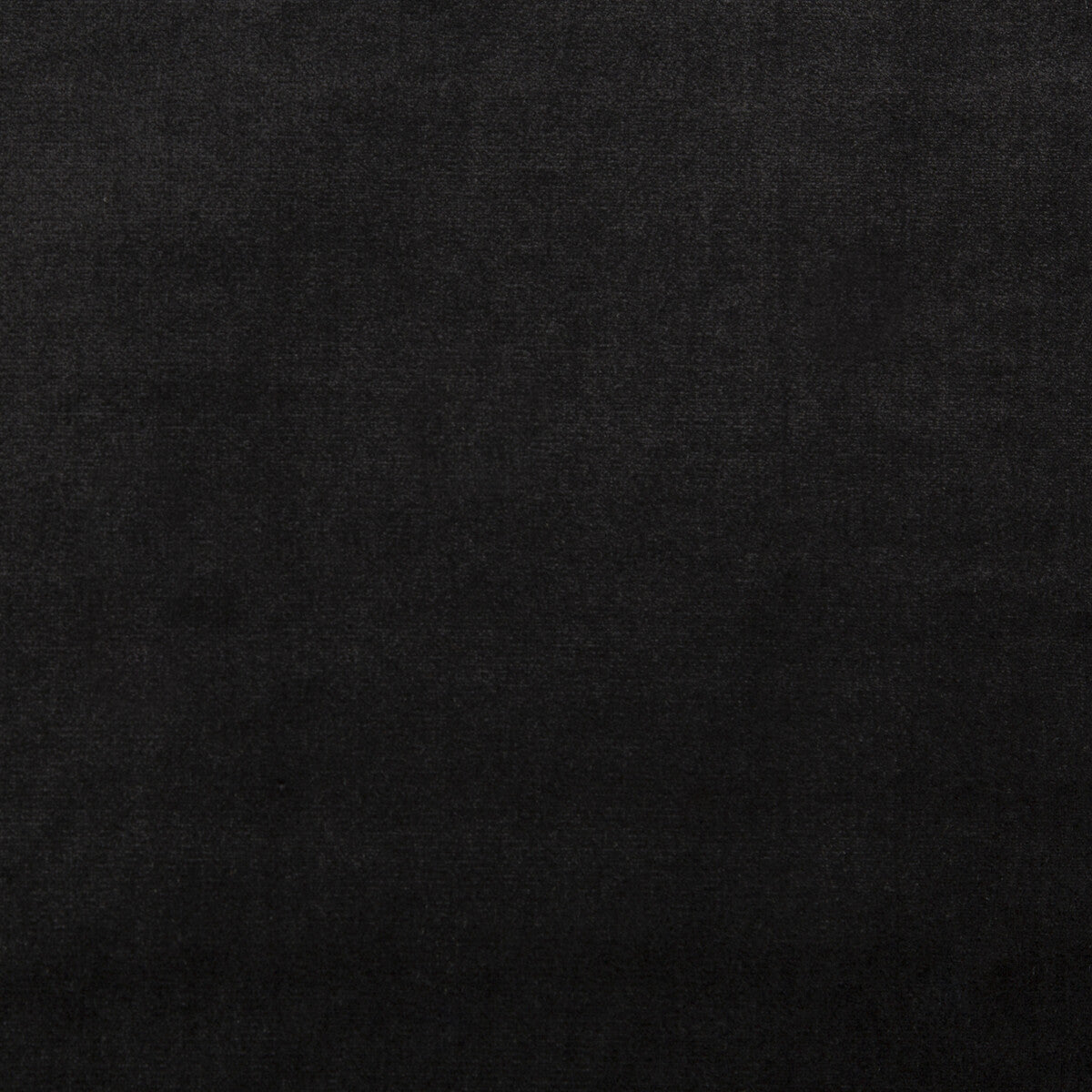 Duchess Velvet-Caviar