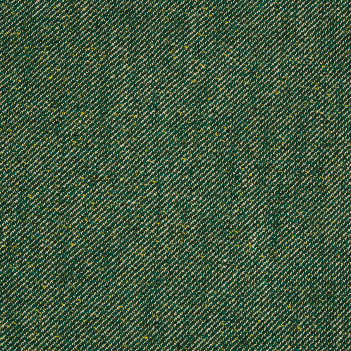 Blue Ridge Wool-Forest