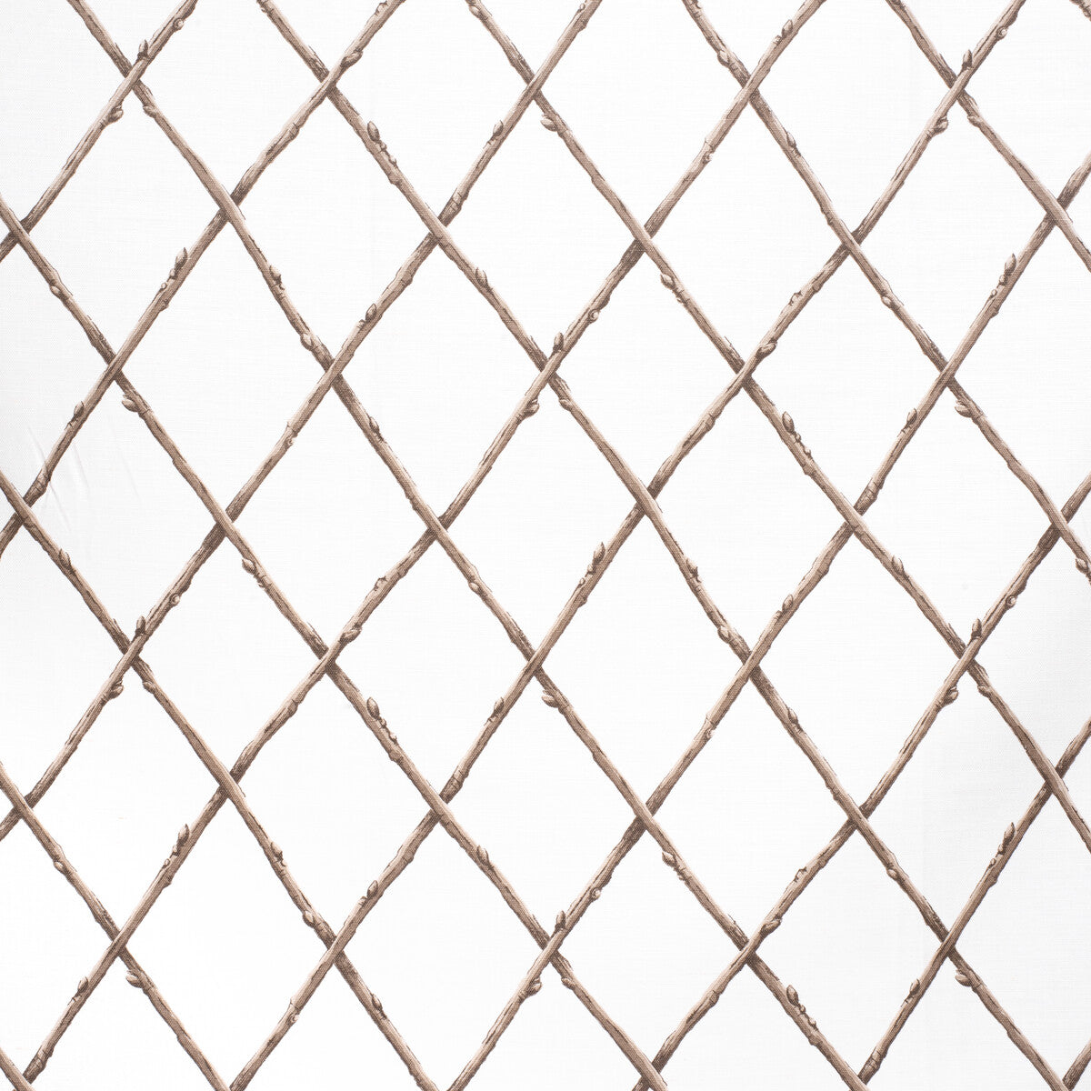 Bare Twig Trellis-Bro/Whi