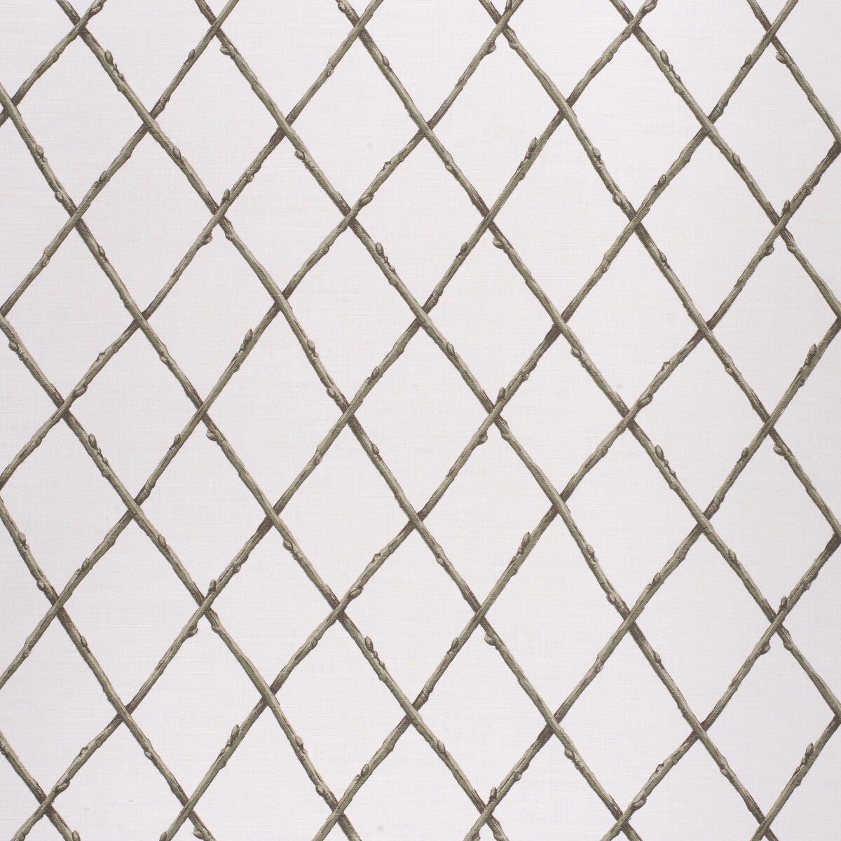 Bare Twig Trellis-Green