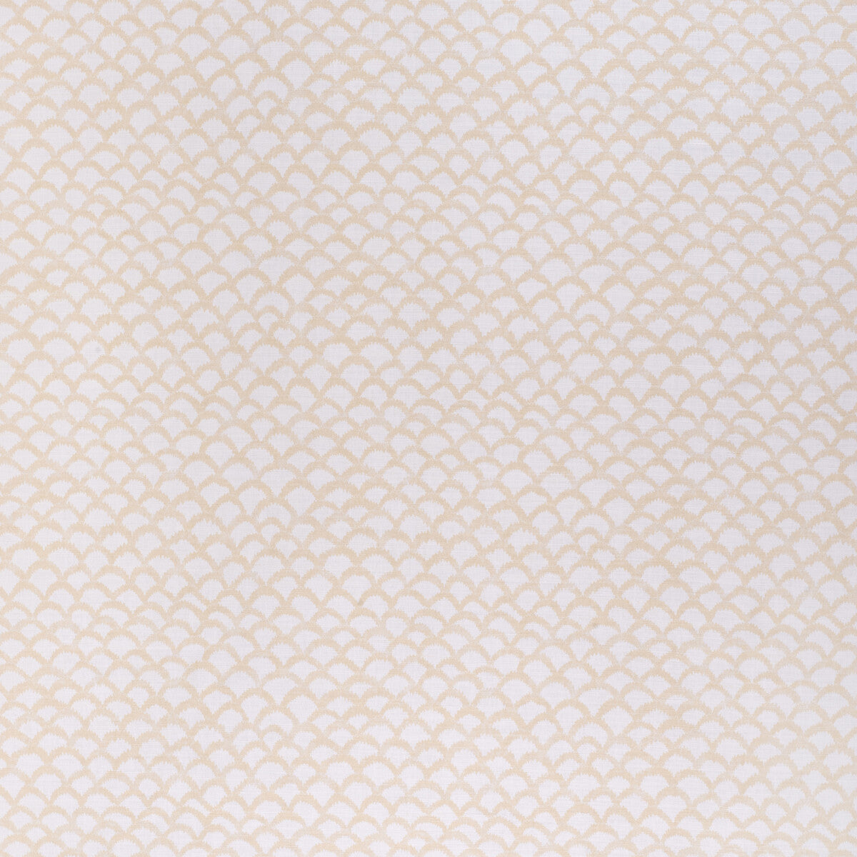 Roche-Vanilla