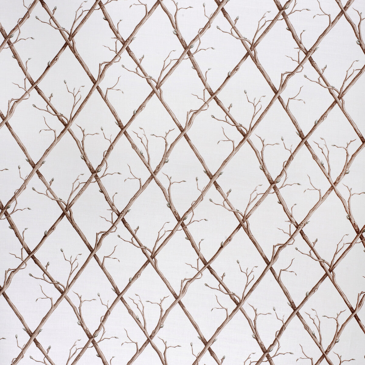 Twig Trellis-Brown/White