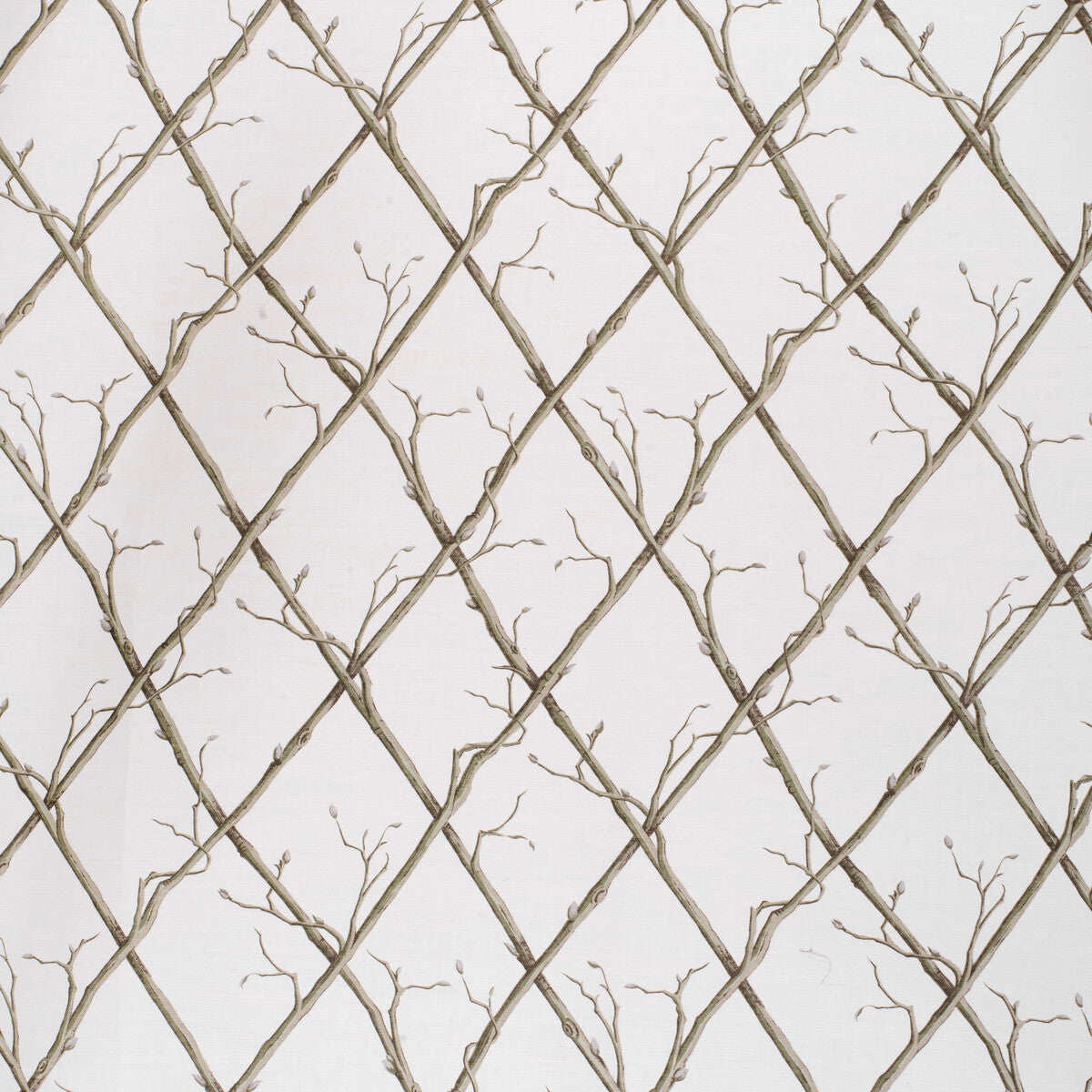 Twig Trellis-Green/White