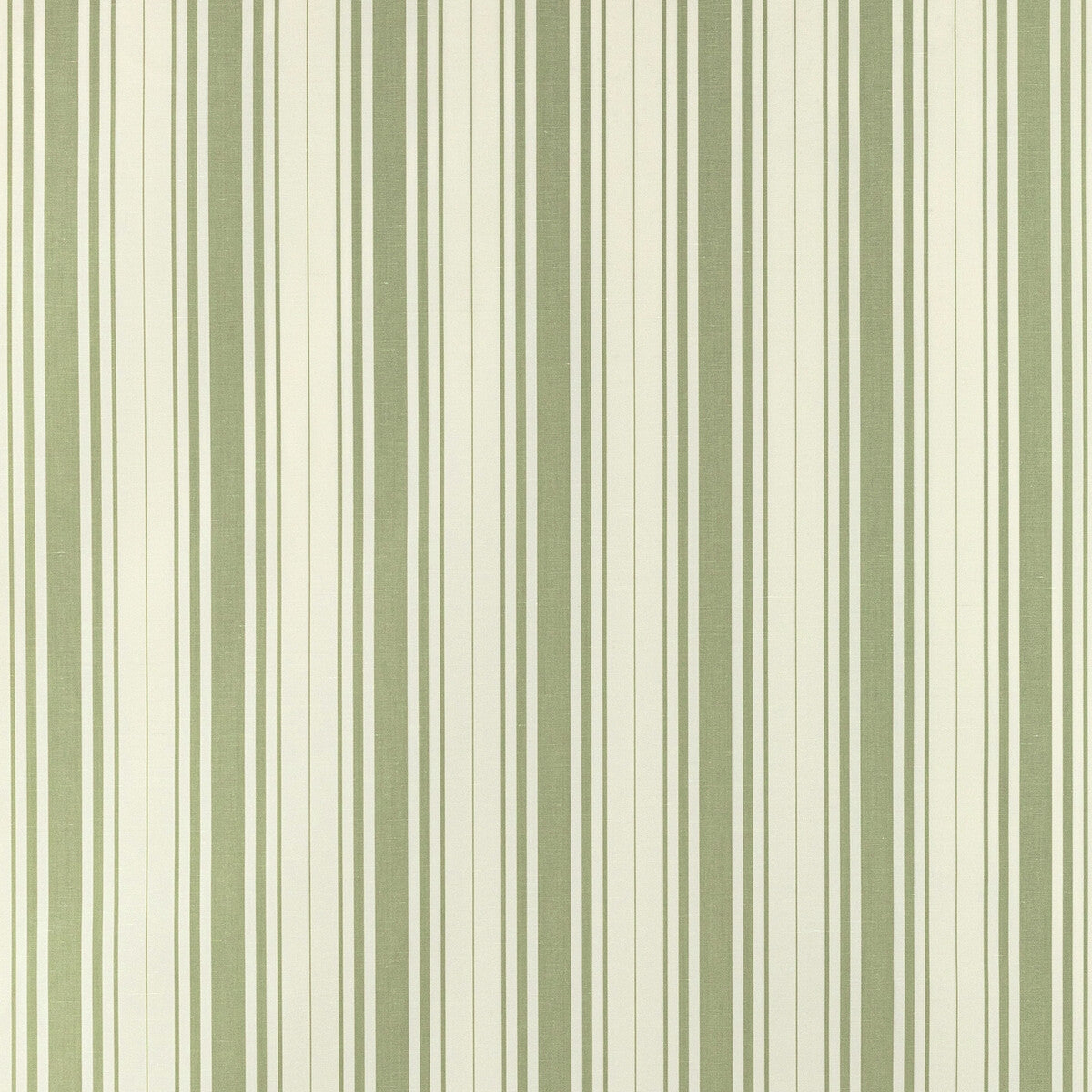 Baldwin Stripe-Celery