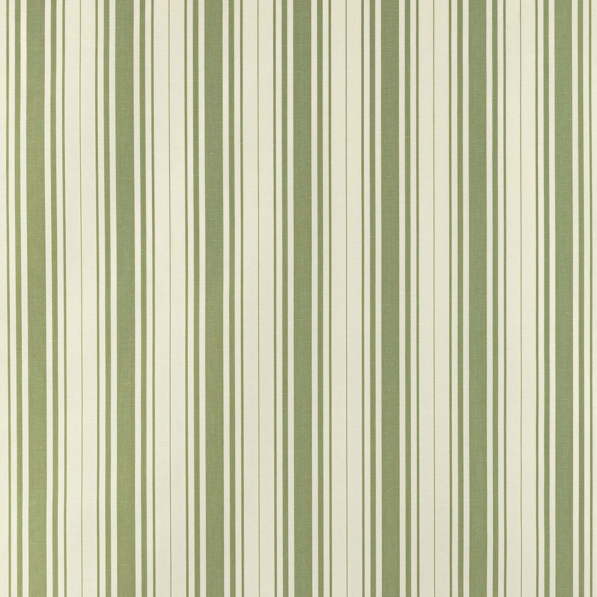 Baldwin Stripe-Fern