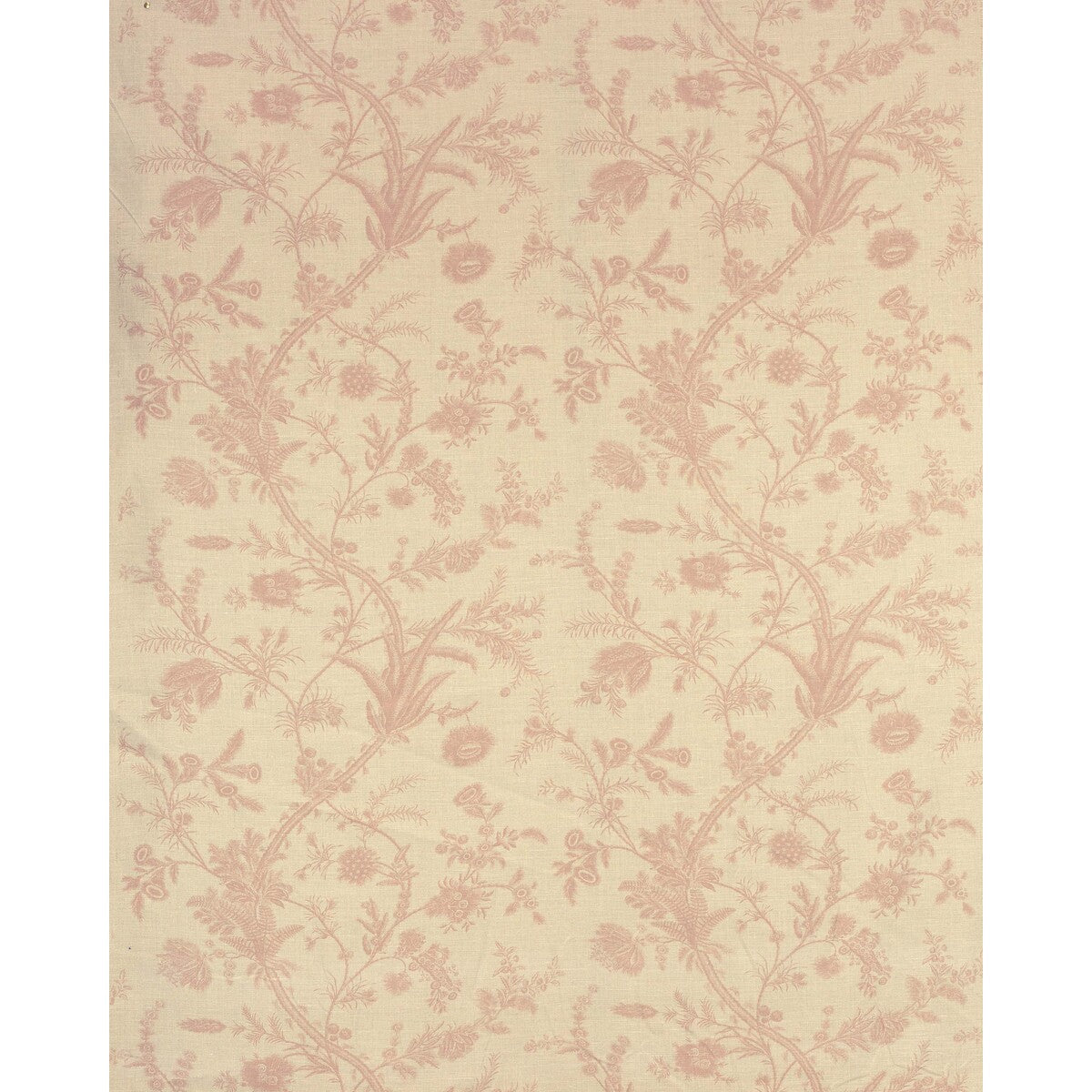 Plumes-Antique Pink