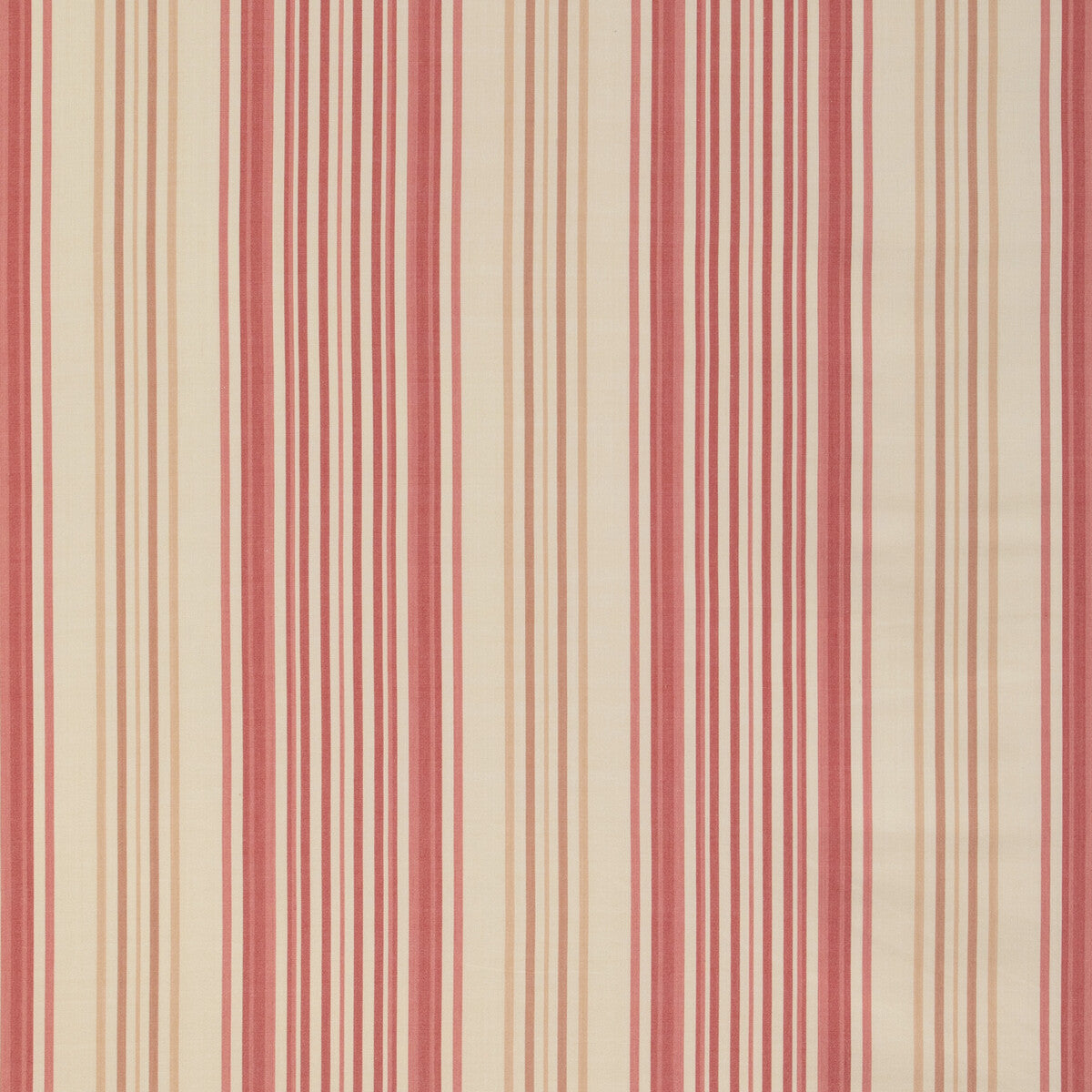 Upland Stripe-Rose