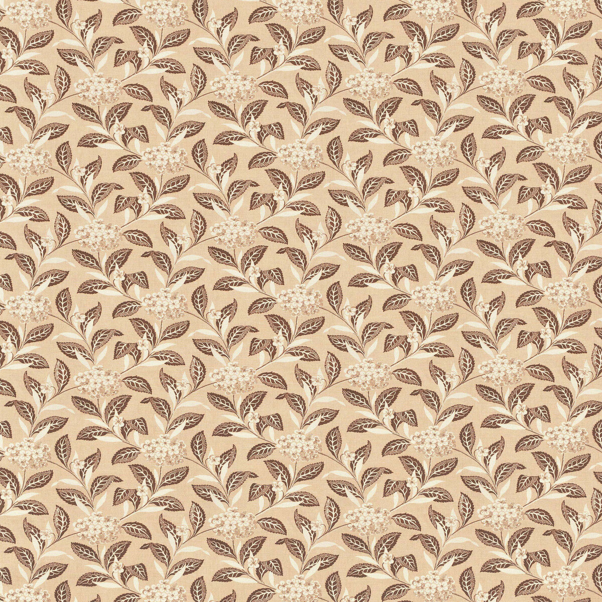 Ortensia-Brown On Blush
