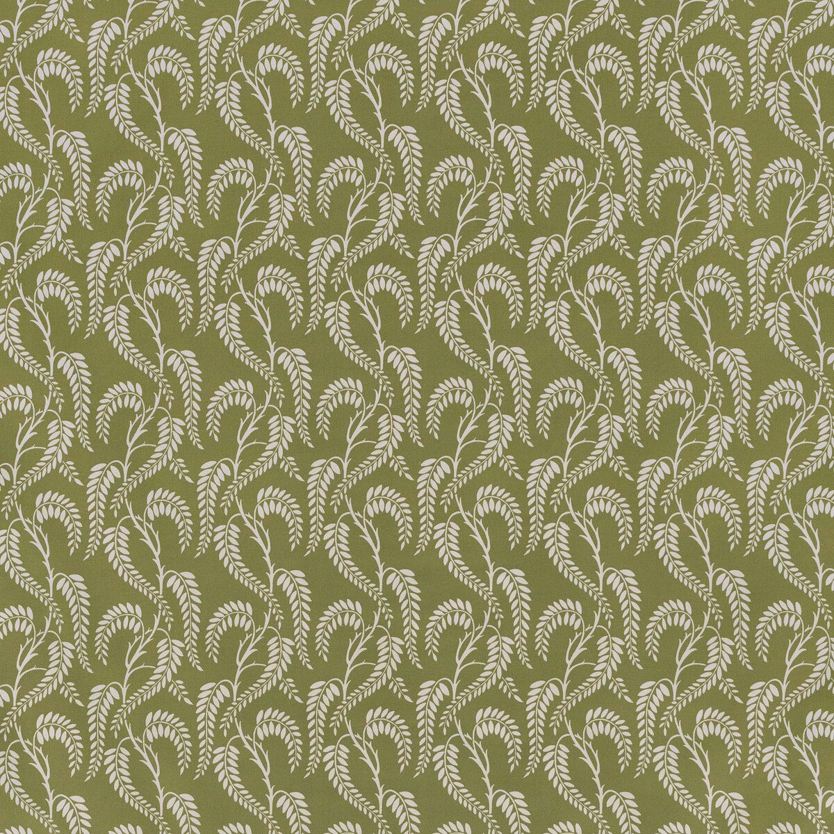 Wisteria-Blotched Sage